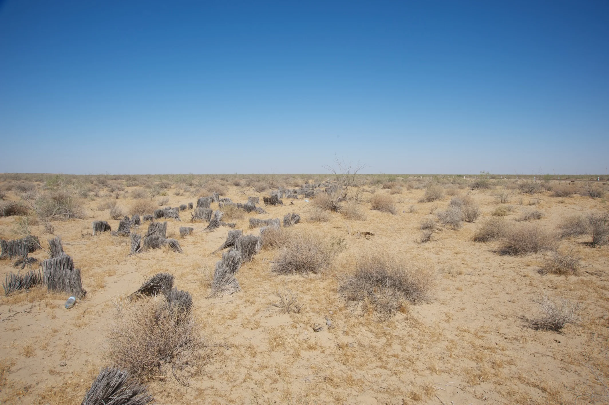 Sand break on the Karakum Desert, Uzbekistan