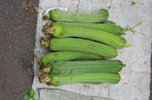 Zucchinis, Market, Leshan, China, 15 Jun 2015.jpg