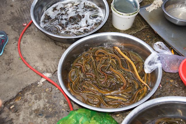Eels, Market, Leshan, China, 15 Jun 2015.jpg