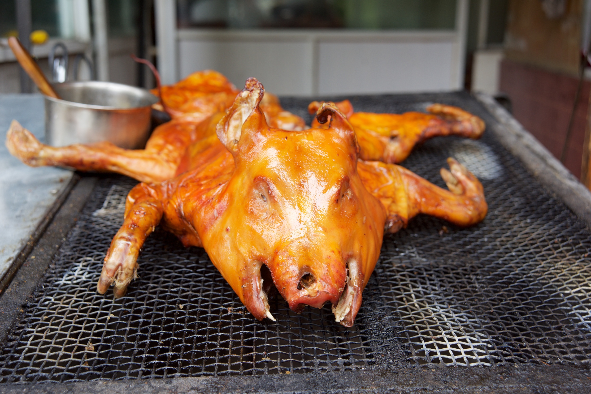  Roast pig outside restaurant, Dayan, Lijiang 