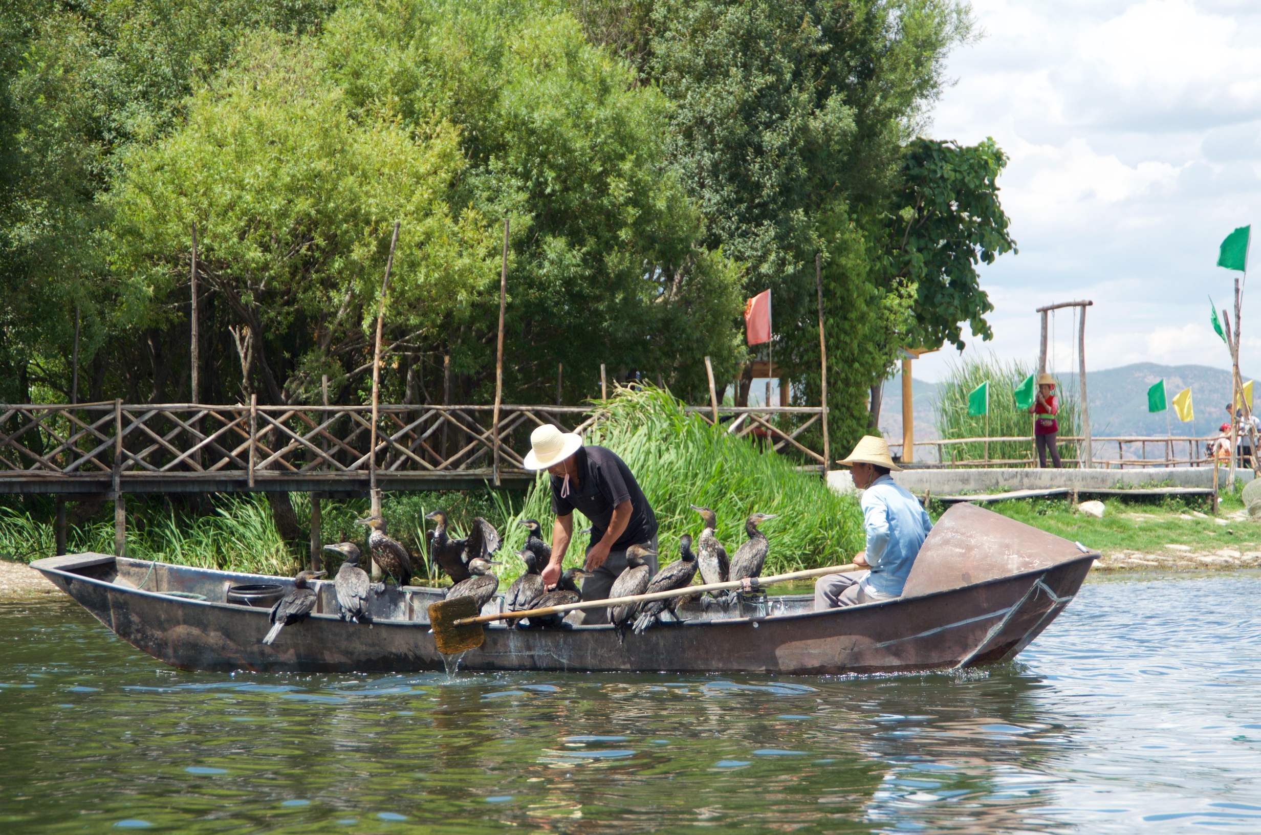  Cormorant fishing boat, Bai village, Dali 