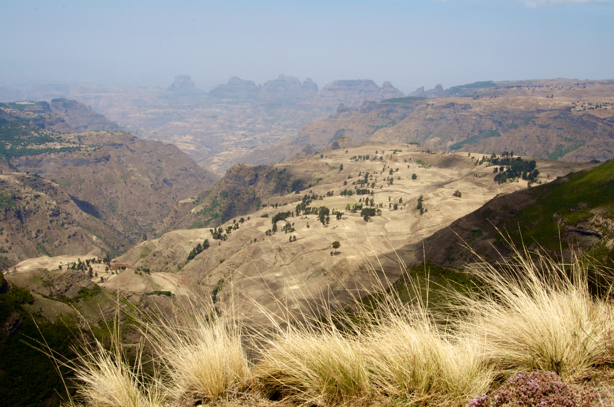  Valley, Simien Mountains NP 