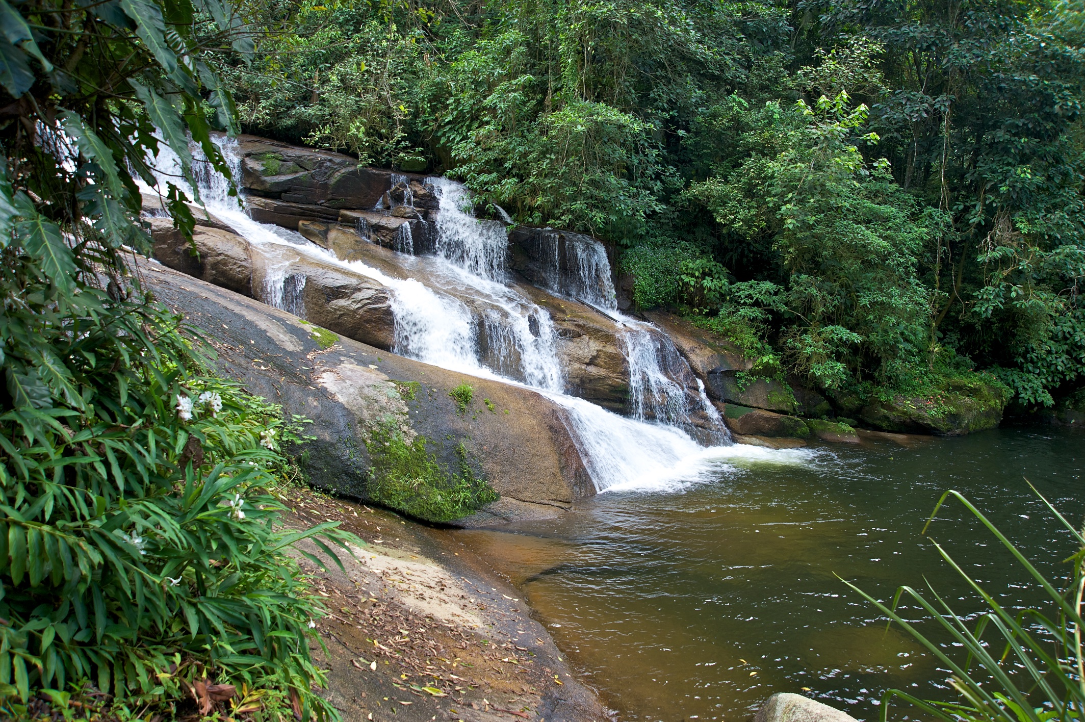  Pedra Branca waterfall, Paraty, Costa Verde, Brazil 