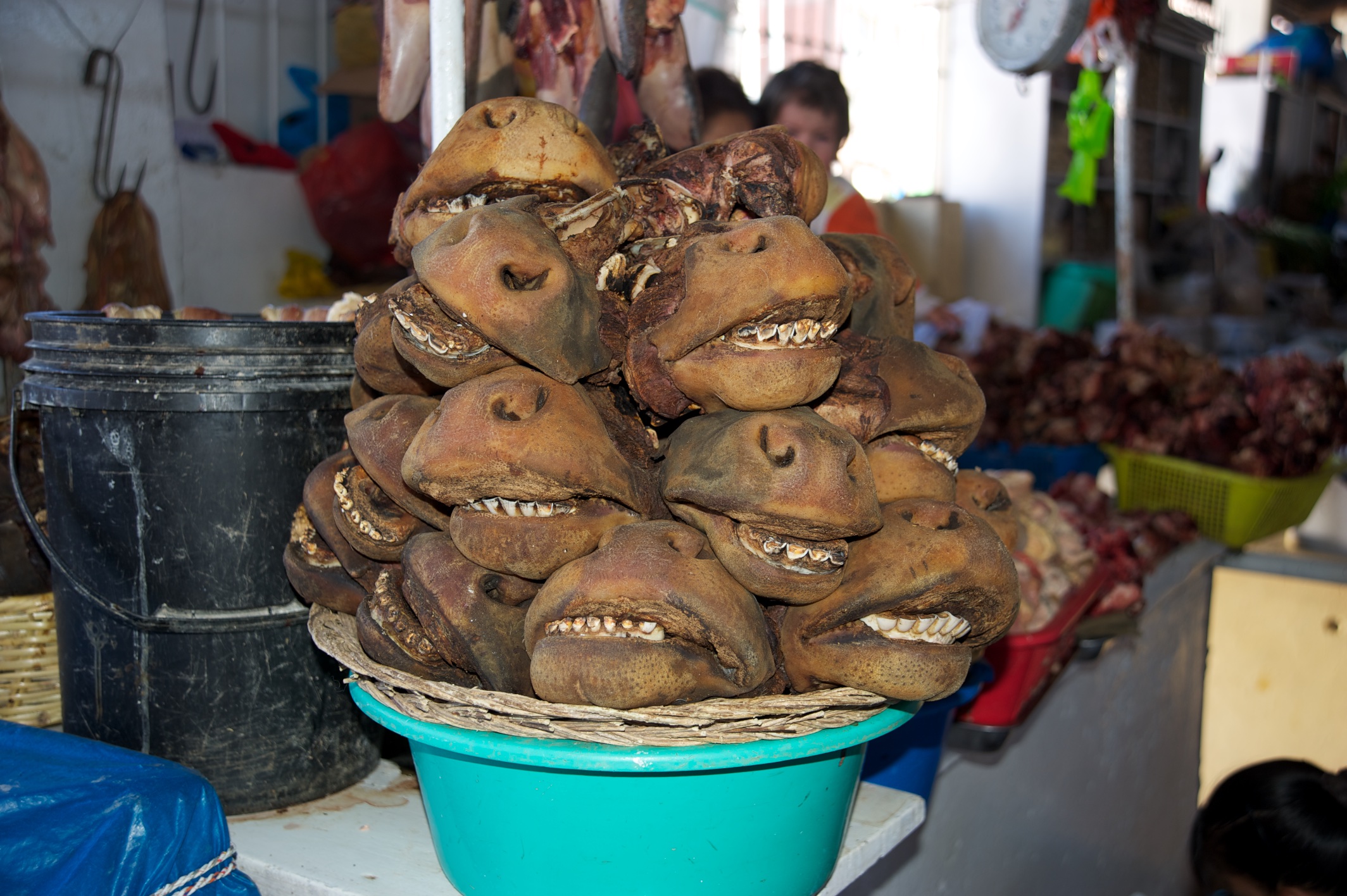  Cow faces, Plaza San Francisco market, Cusco, Peru 