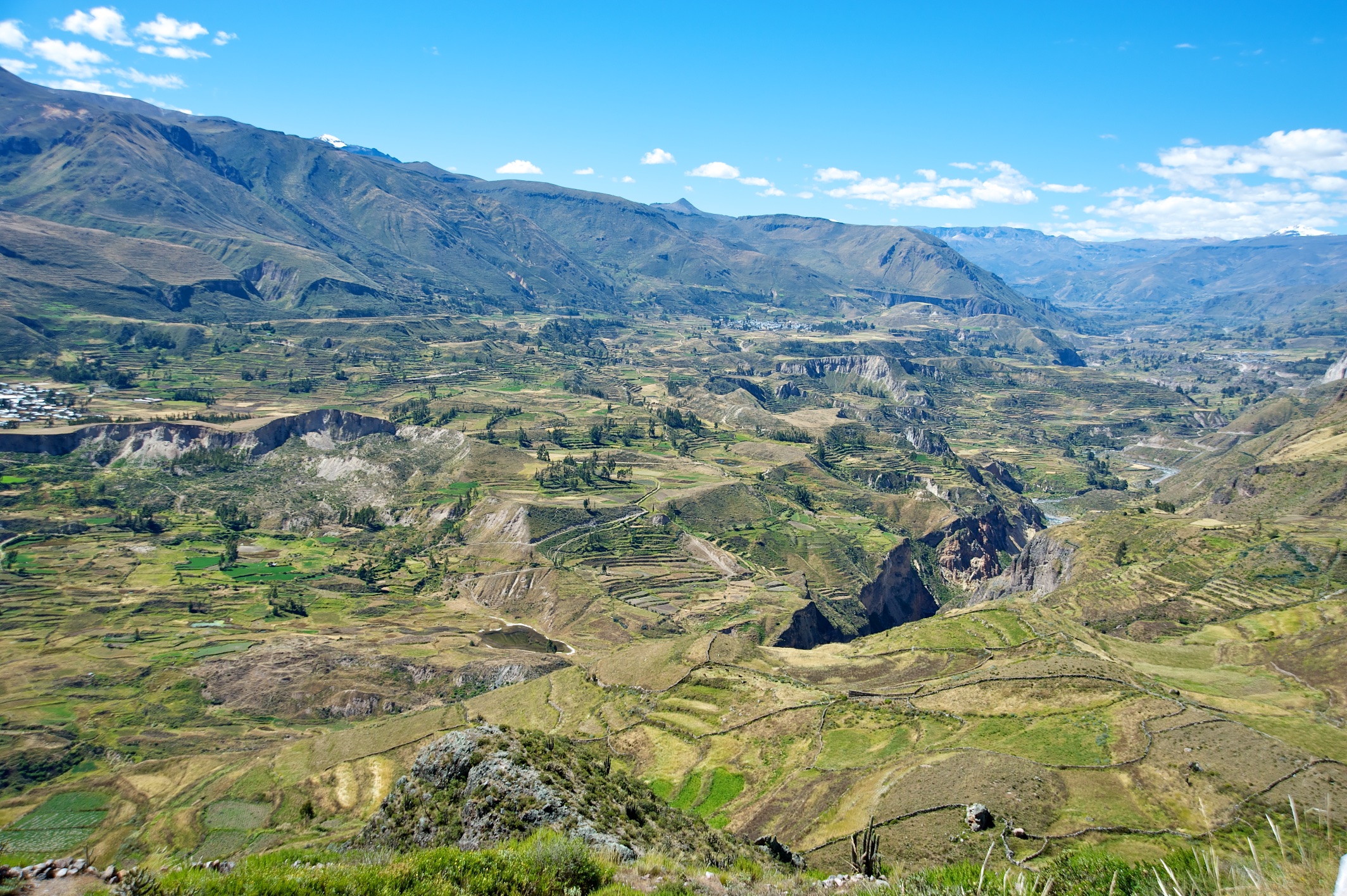  Terraced fields at Colca Valley, Peru 