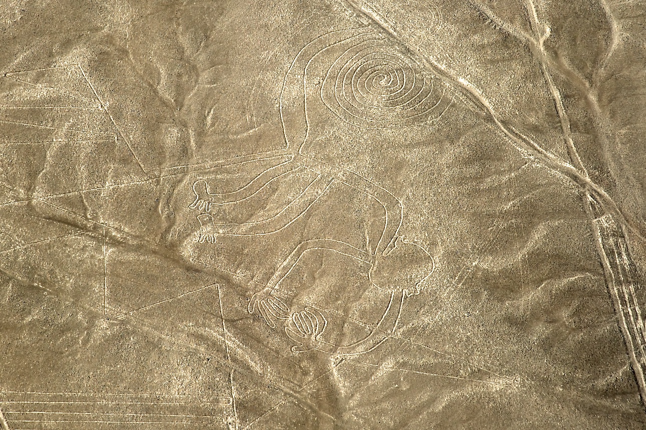  Monkey, Nasca Lines, Nasca, Peru 