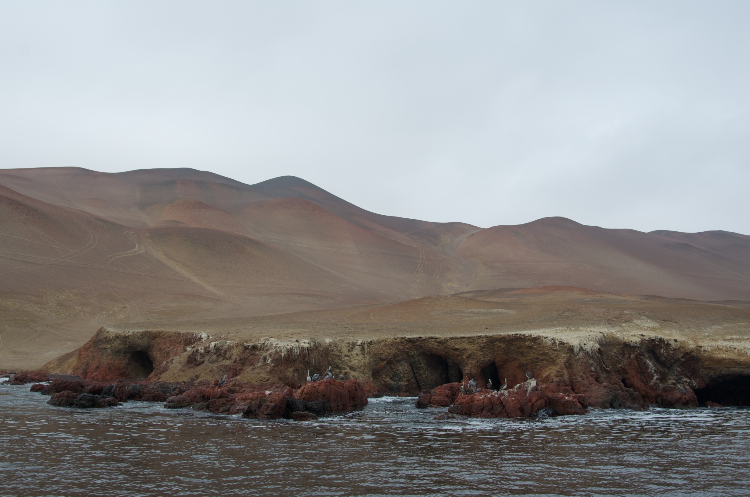  Ballestas Islands, Peru 