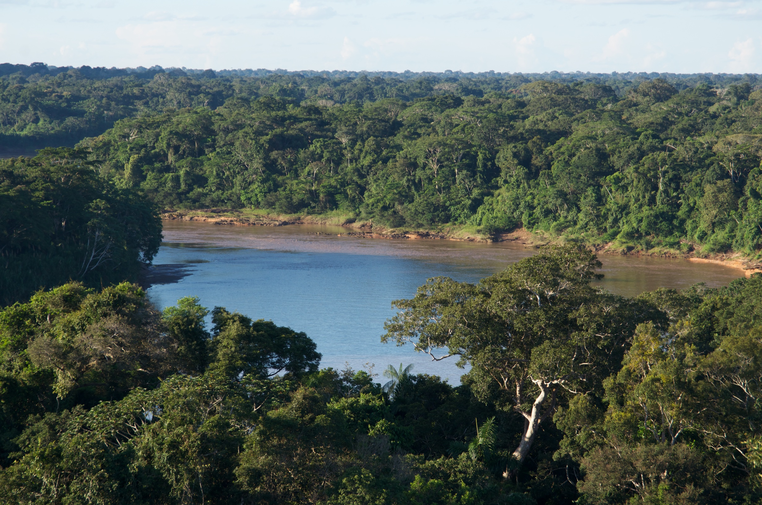  Tambopata River from the Tower, Posada Amazonia, Peru 