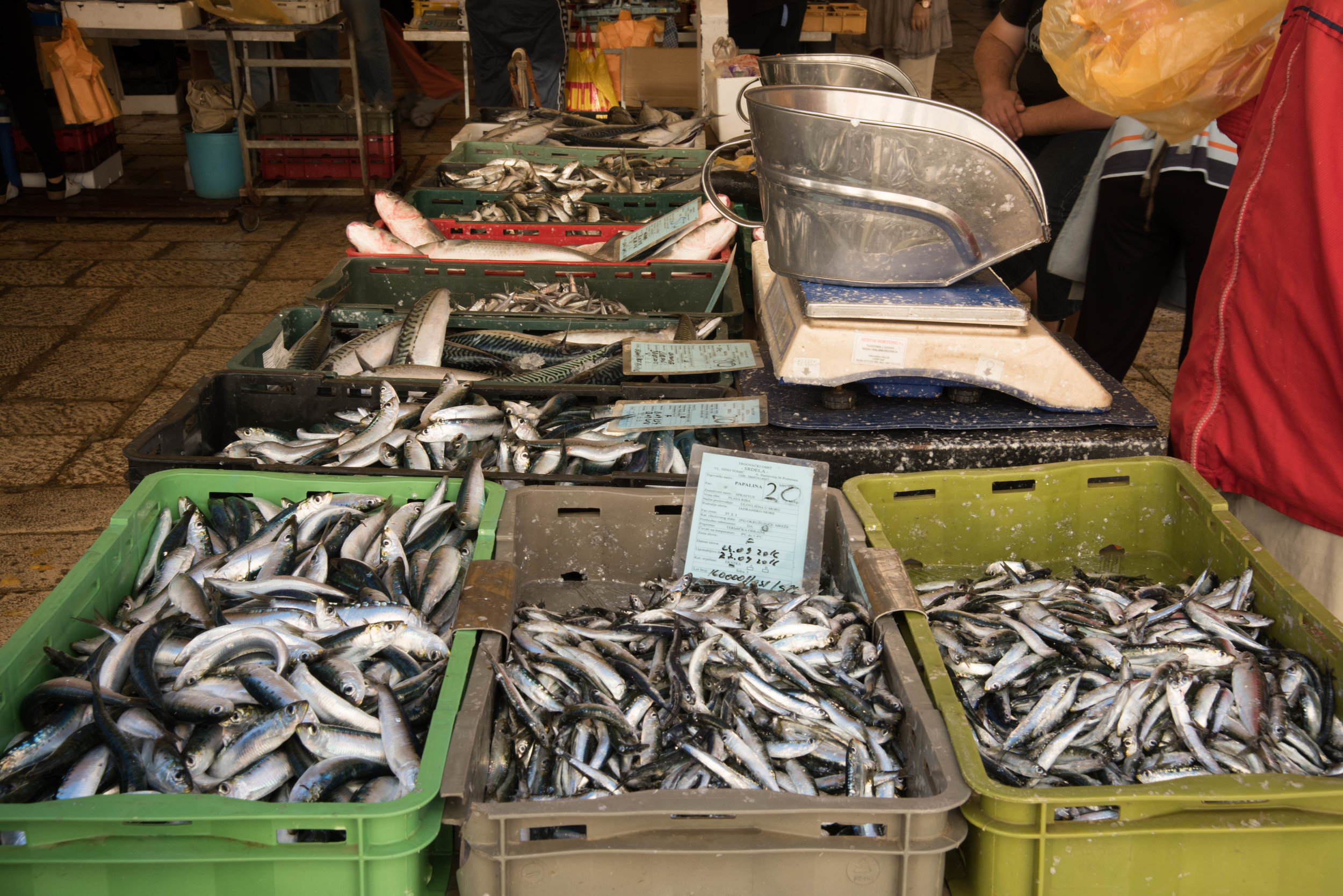 Fish Market, Split, Croatia