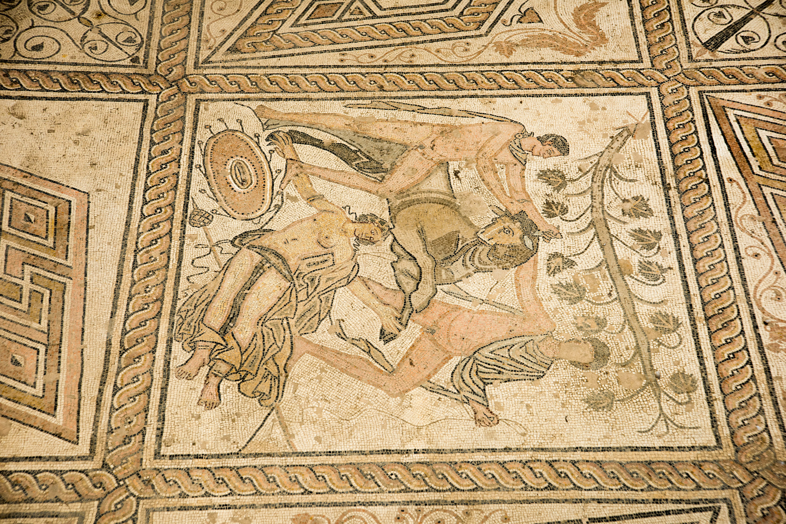 Roman Mosaic - Punishment of Dirce, Pula, Istria, Croatia