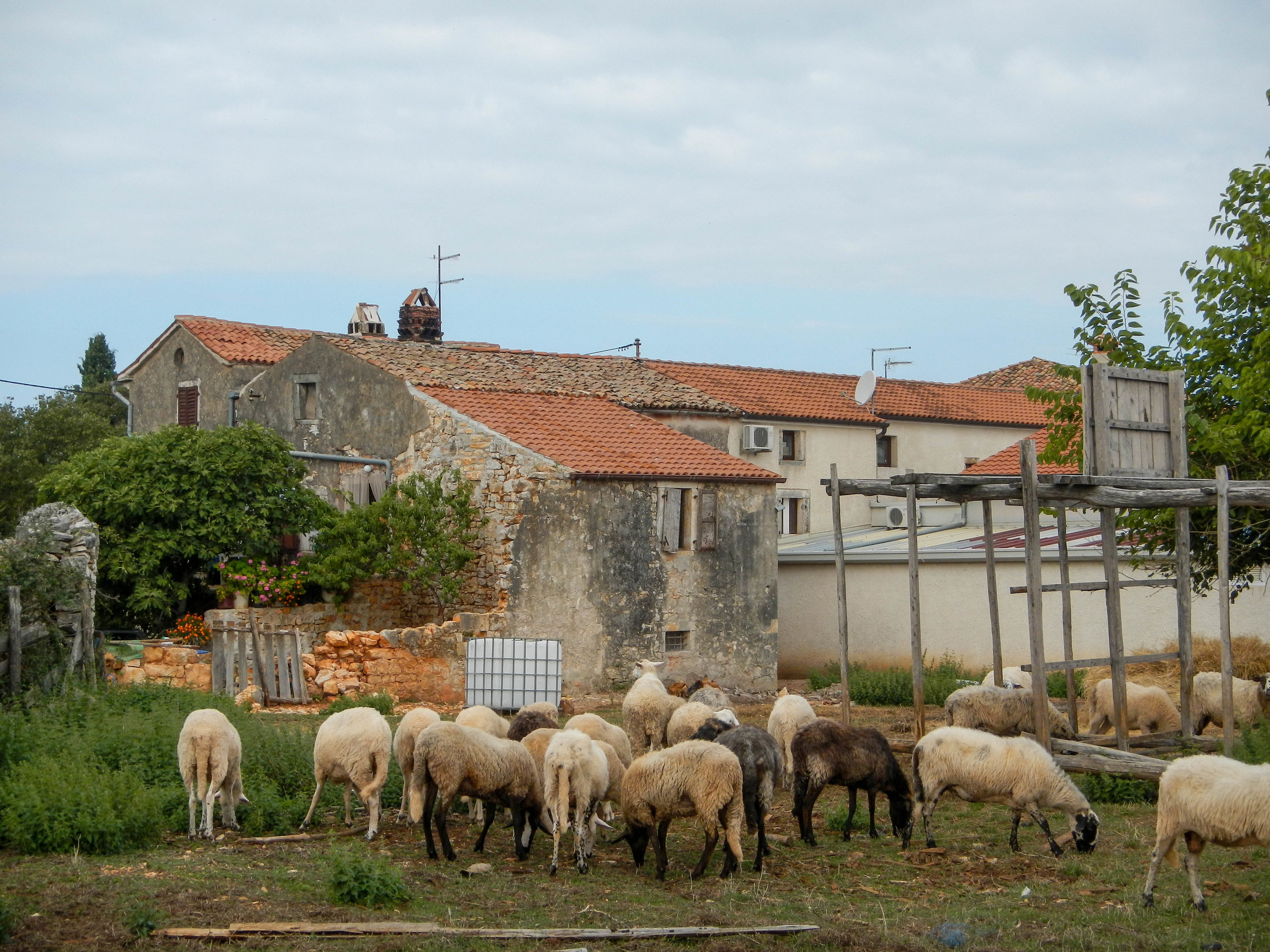 Farm, Ženodraga, Istria, Croatia