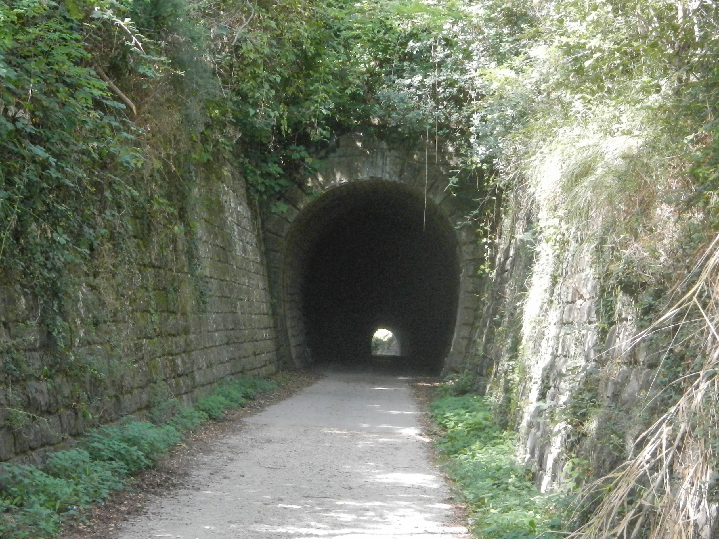 Tunnel on Parenzana railway line, Groznjan, Istria