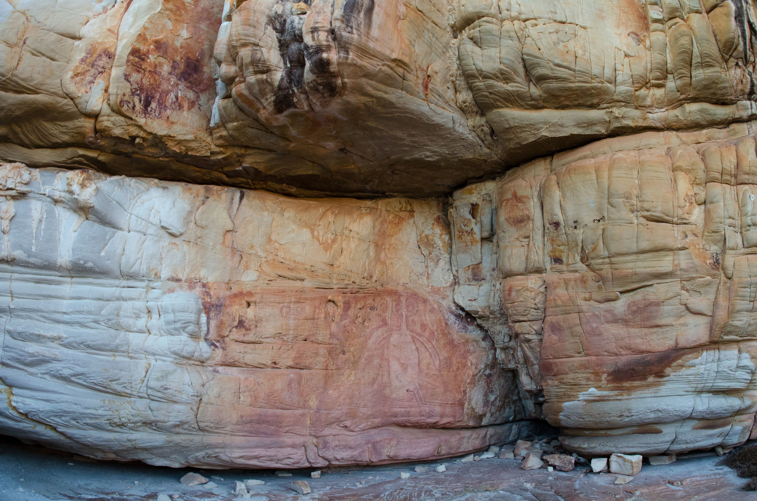 Brolga art, Hanover Bay, Kimberley