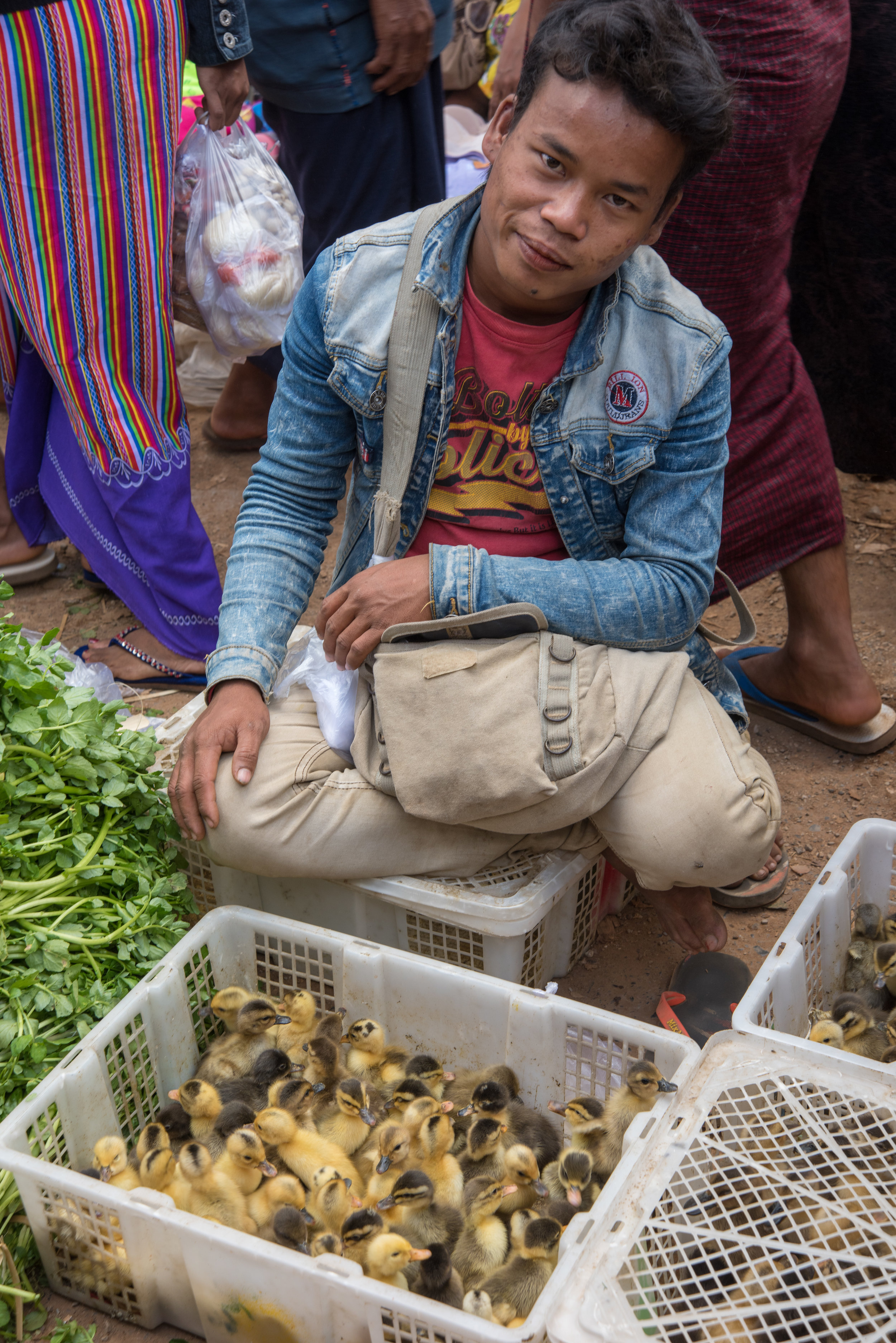 Ducklings, HeHo market, en route to Inle Lake, Myanmar