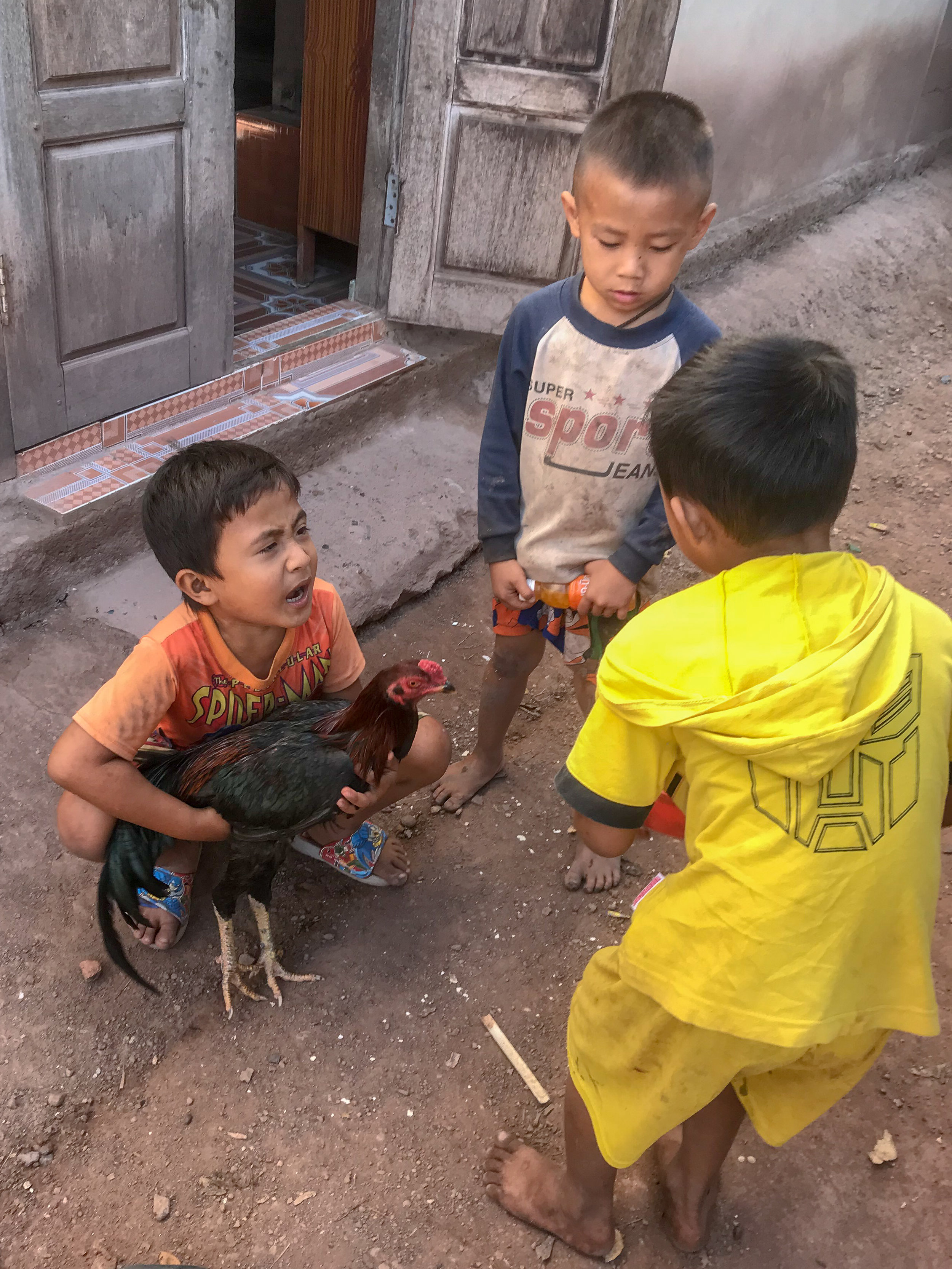 Children with fighting cocks, Ban Na Kham, Laos