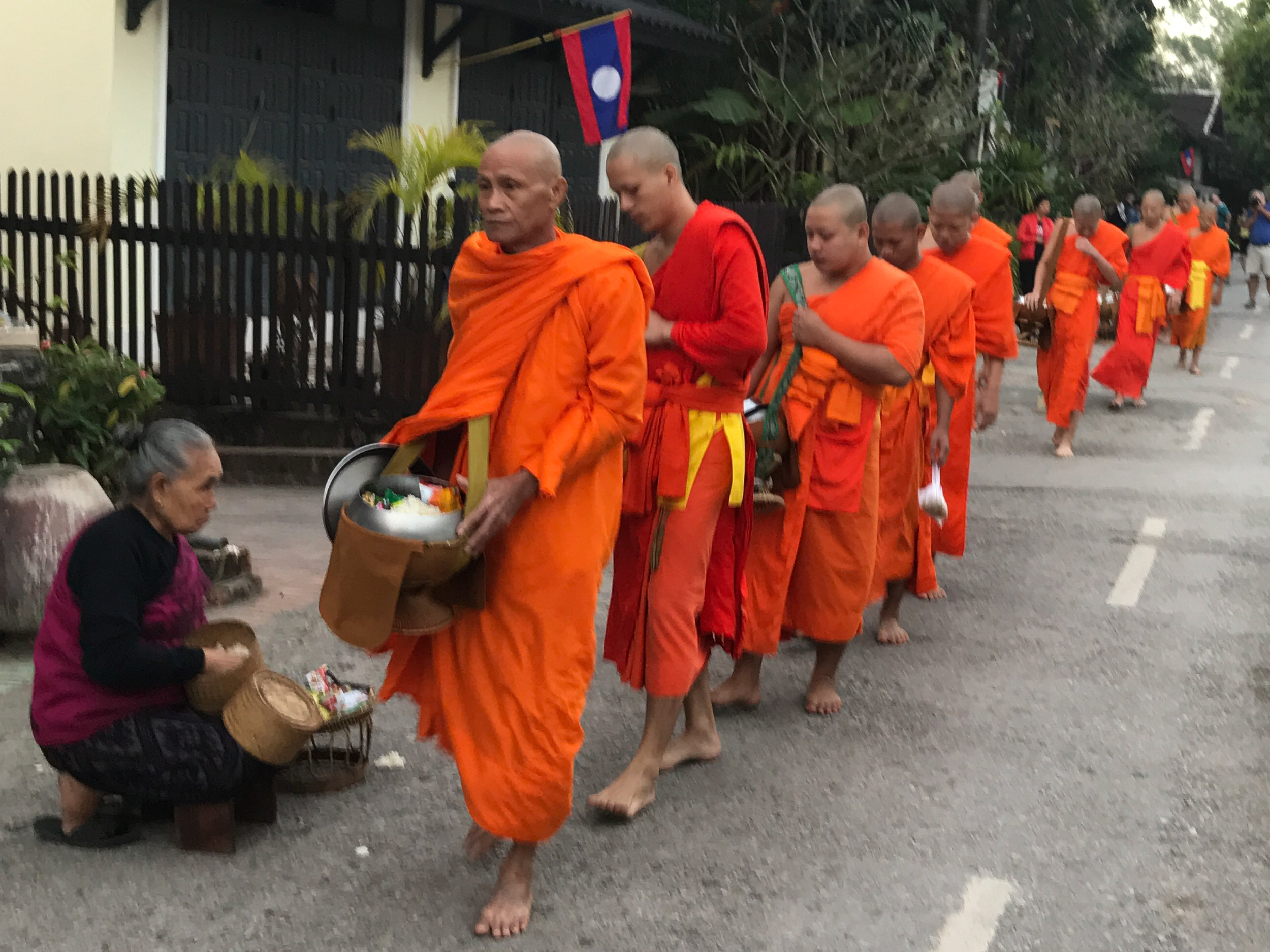 Monks sunrise almsgiving procession, Luang Prabang, Laos