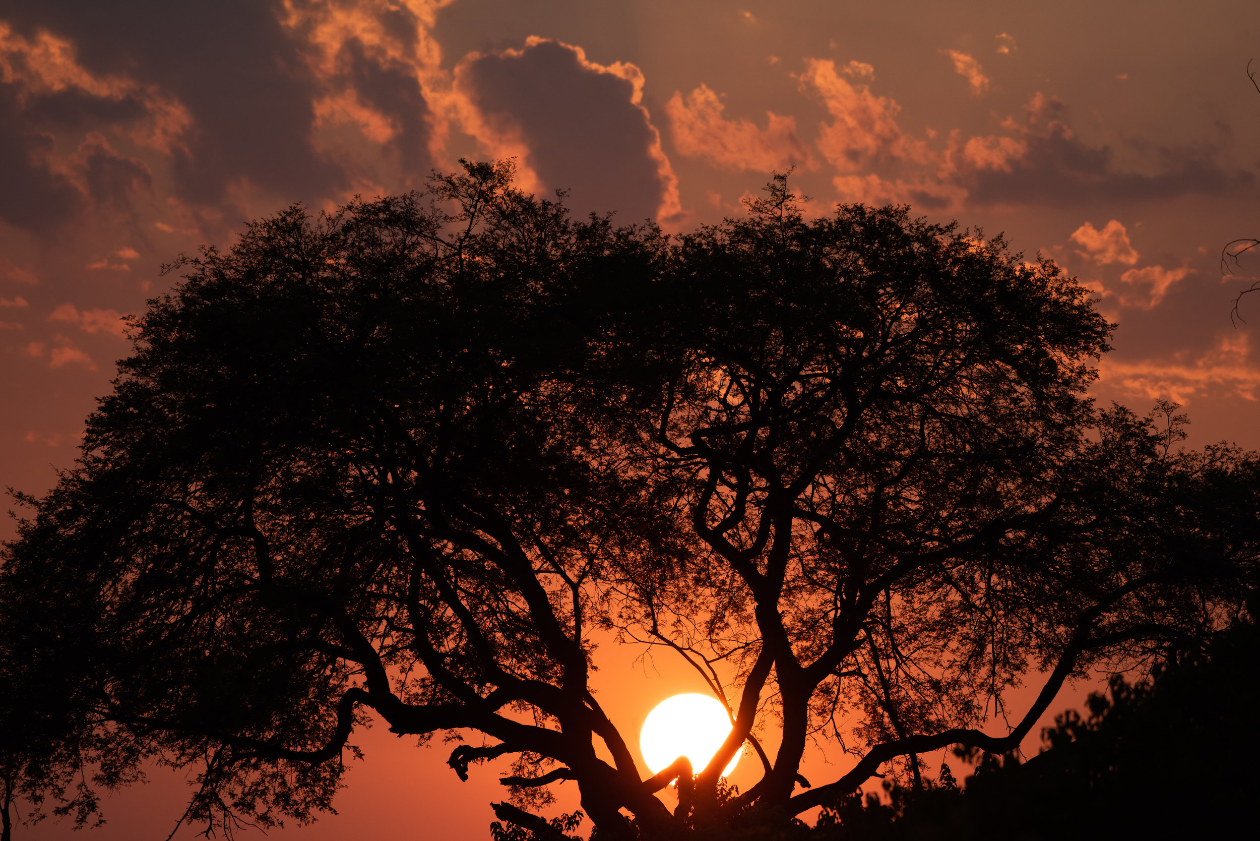 Sunrise, Khwai, Botswana