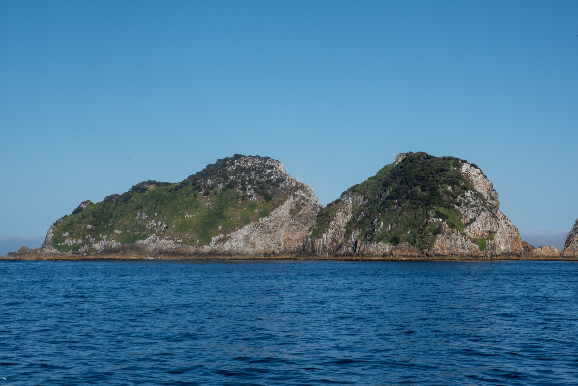 Breaksea Islands, Port Davey