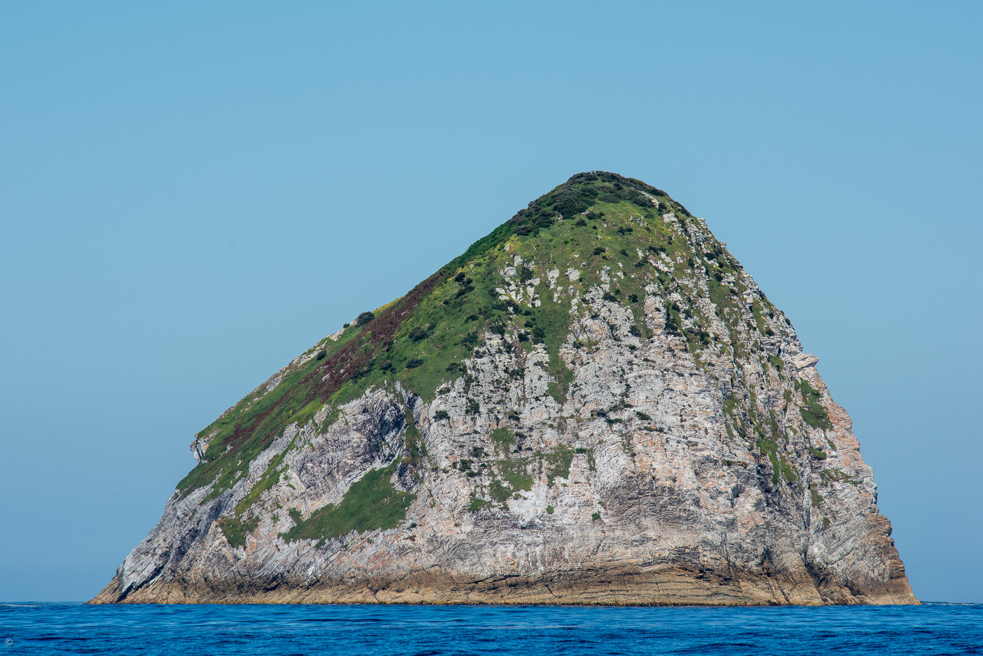 Big Caroline Rock, Port Davey