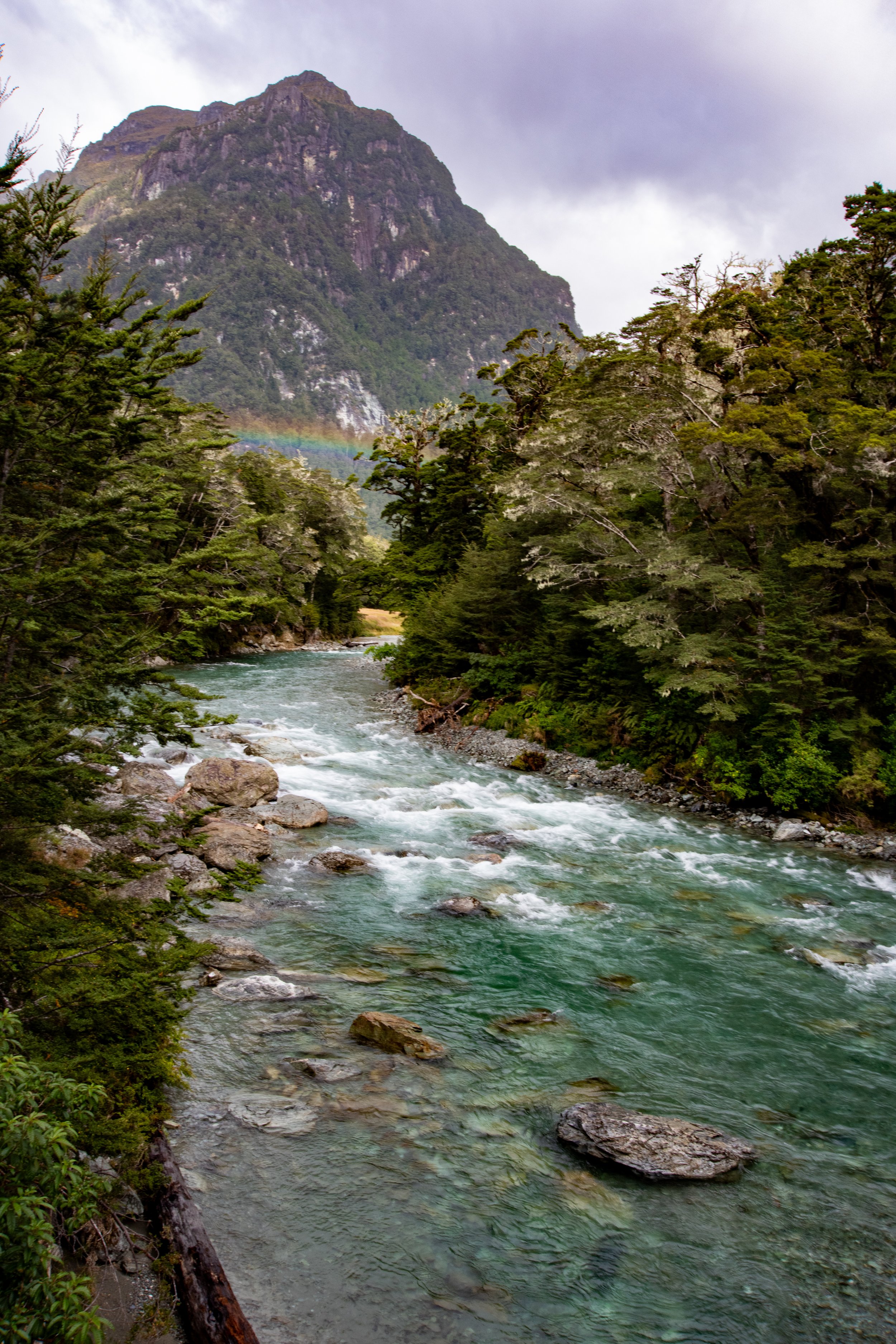 Routeburn River, Routeburn Shelter to Routeburn Falls Hut trail