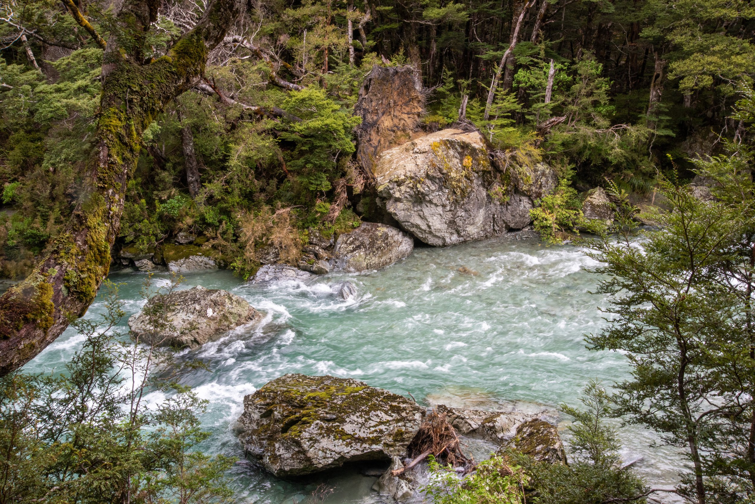 Routeburn Shelter to Routeburn Falls Hut trail