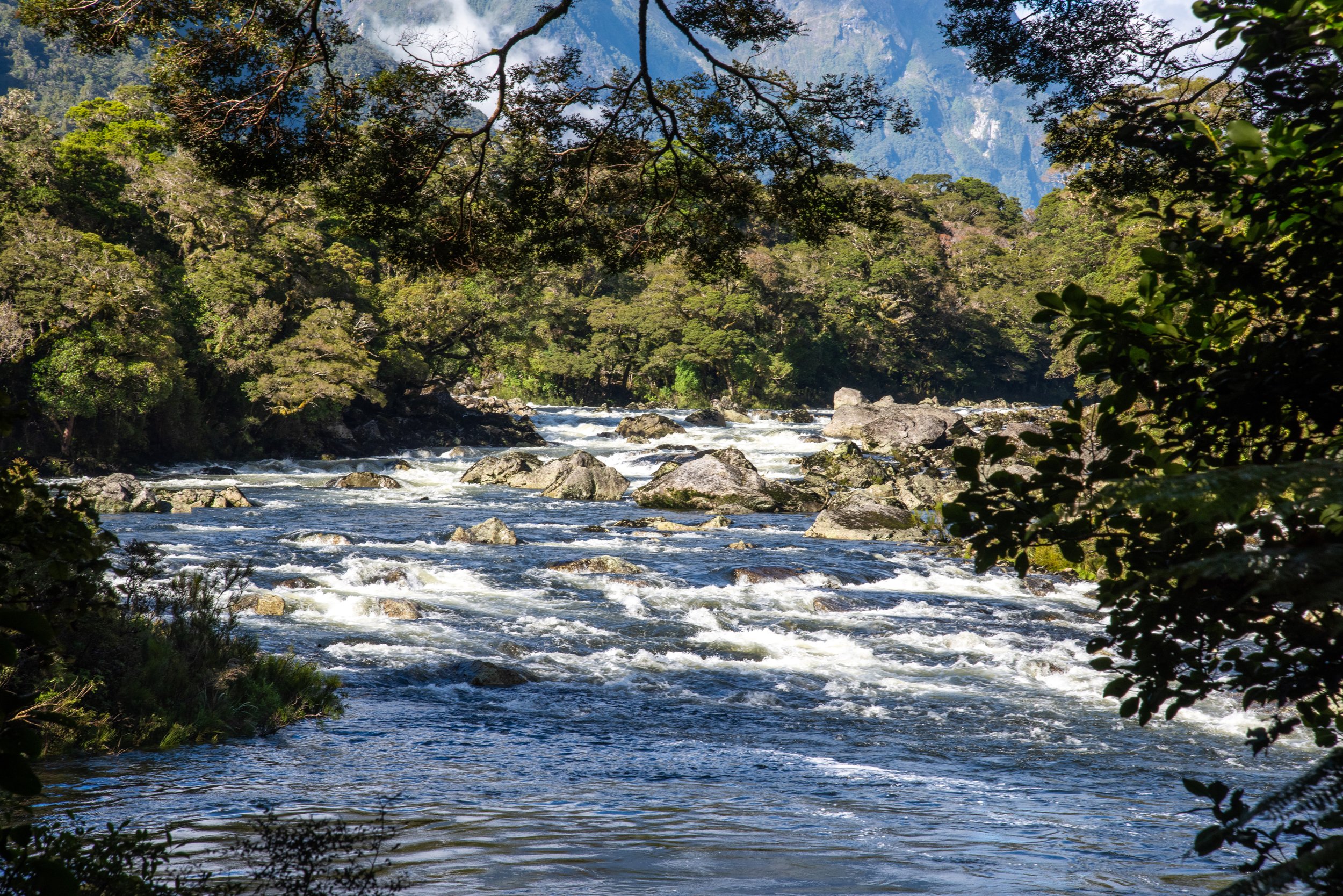 Arthur River, Milford Track