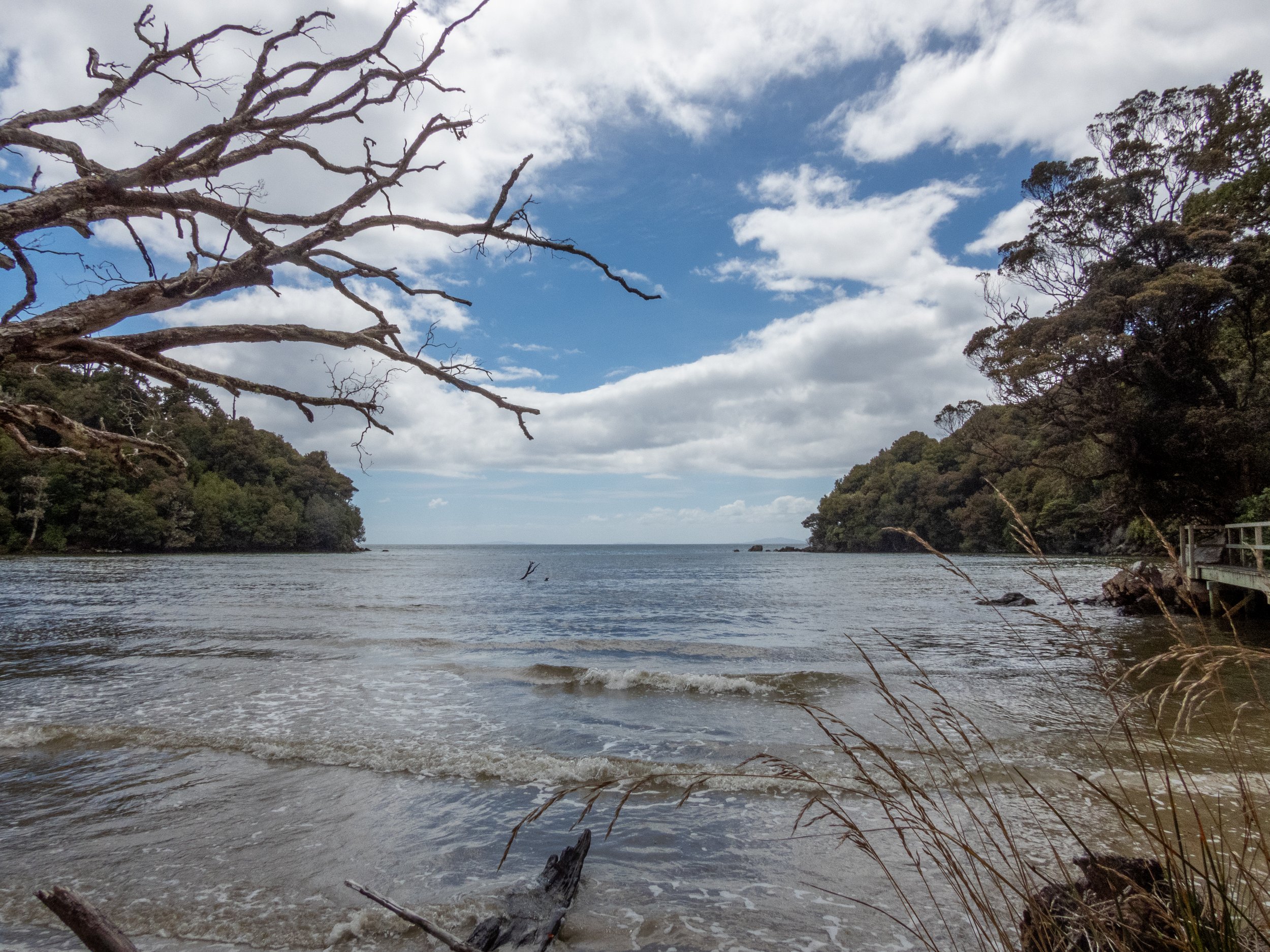 View from Rakiura Track, Stewart Island