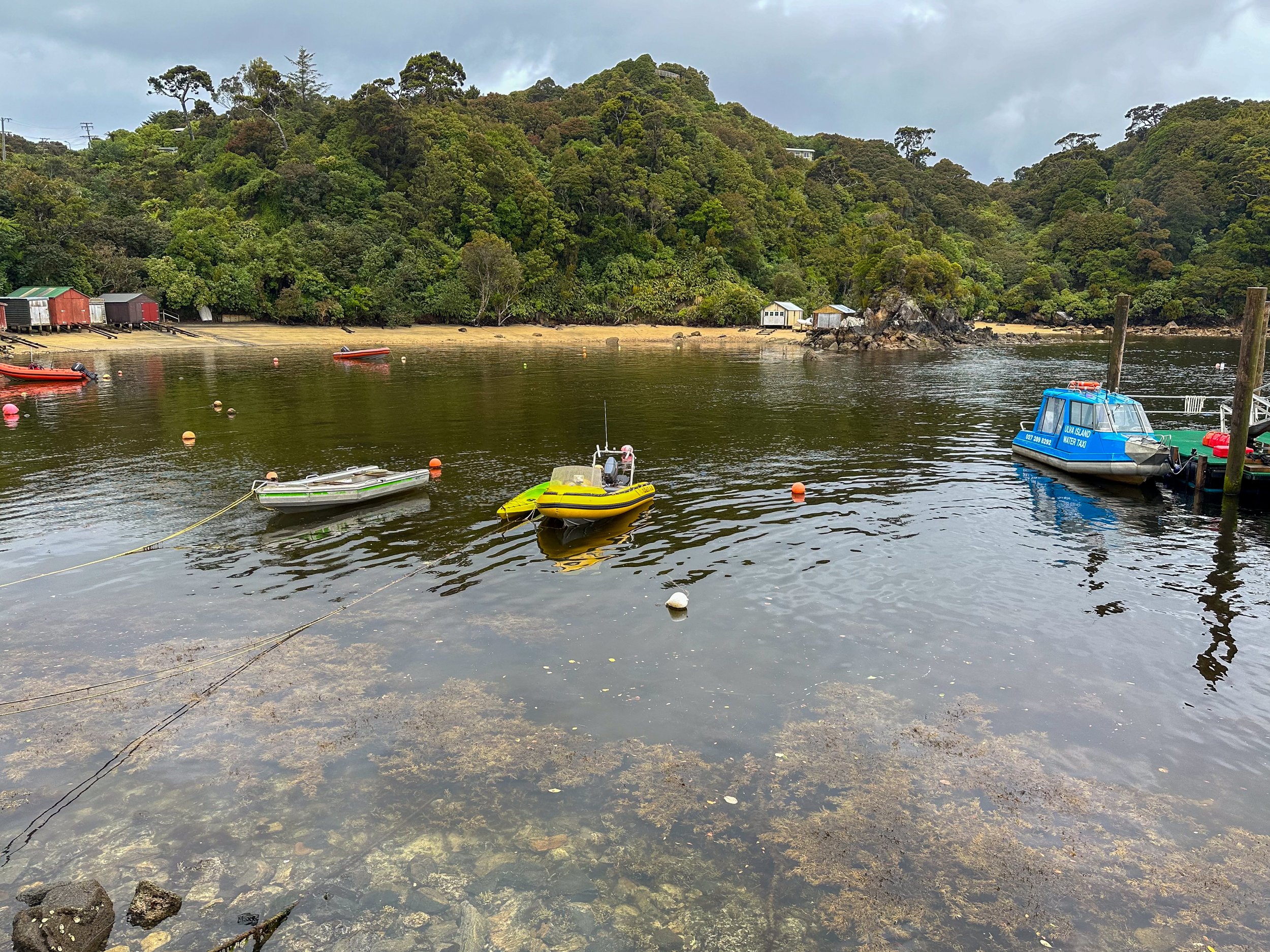 Golden Bay Wharf, Stewart Island