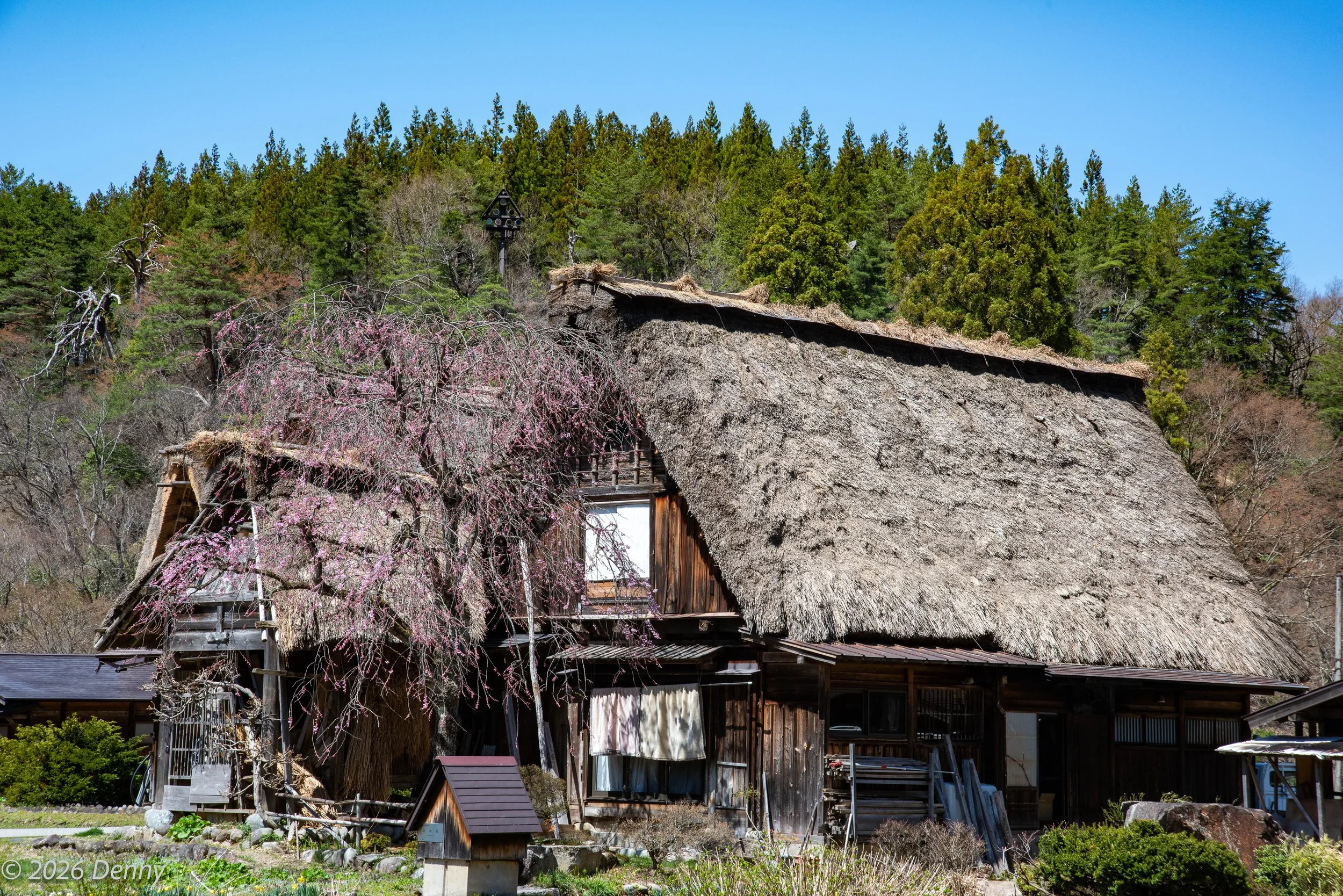 Village house, Shirakawa-go, Japan