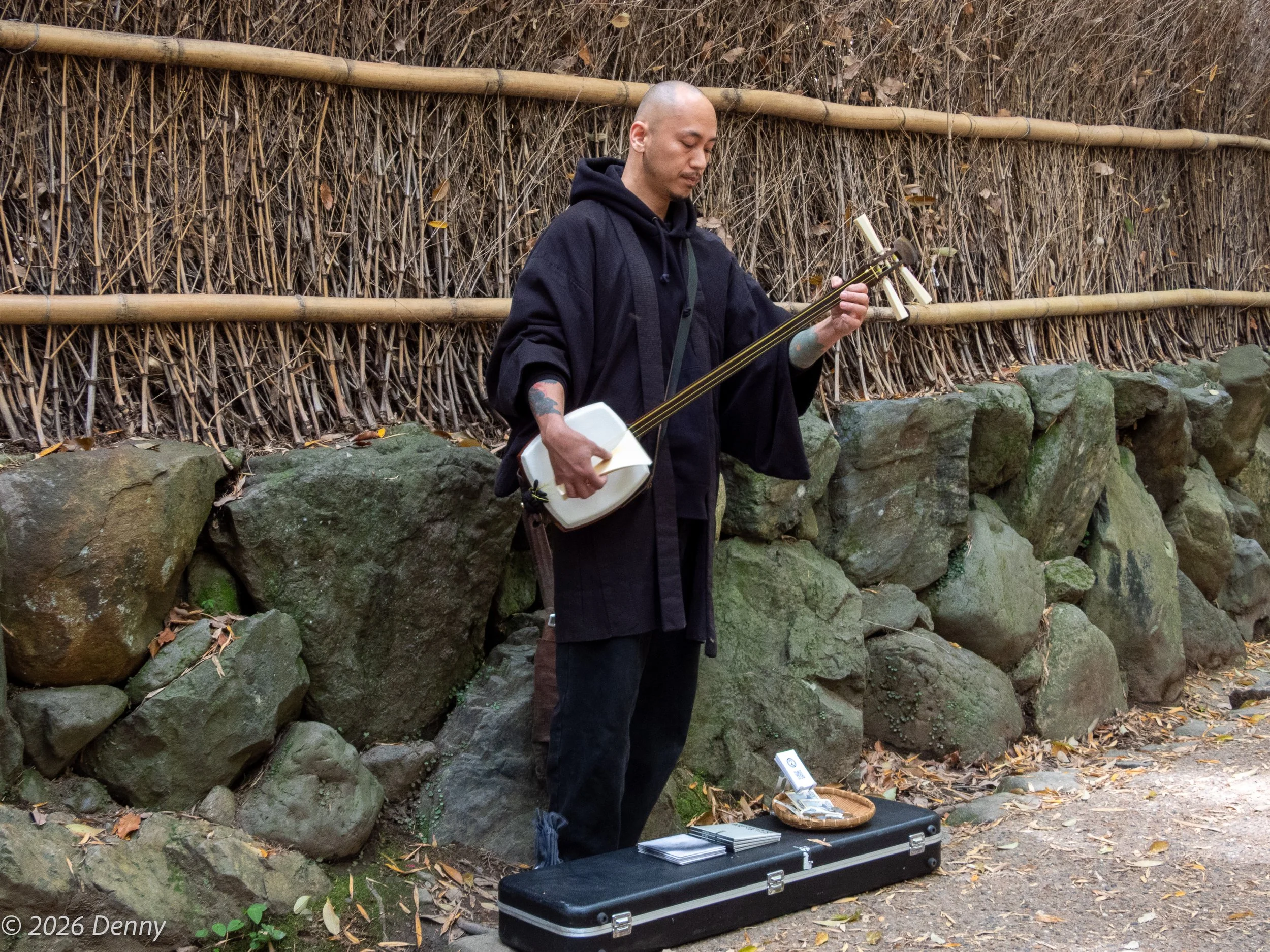 Busker playing a three stringed fretless lute called a shamisen, bamboo forest, Arashiyama district, Kyoto, Japan