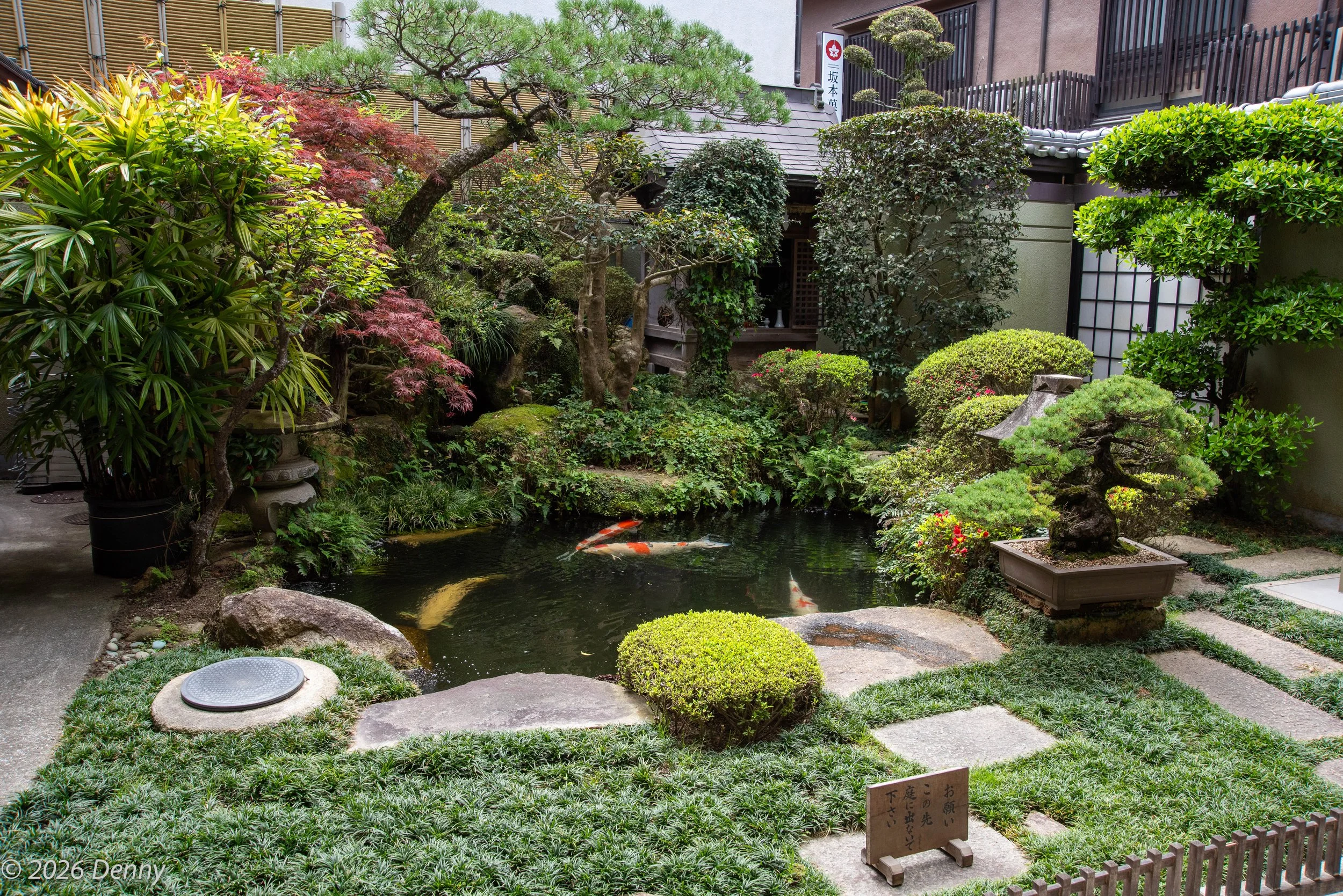 Garden behind cafe, Miyajima, Japan