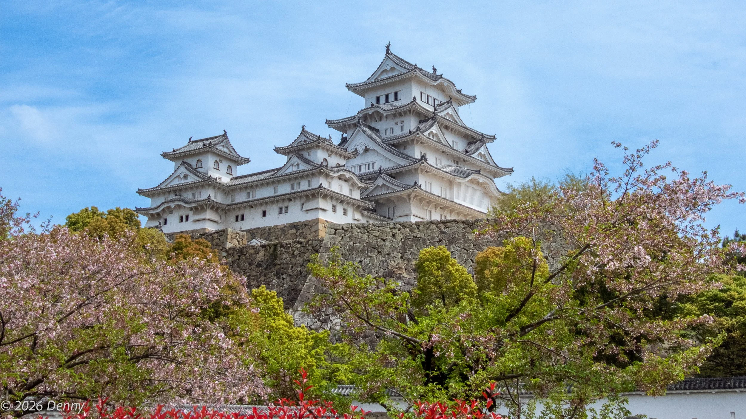 Cherry blossom at Himeji-Jo Castle, Himeji, Japan