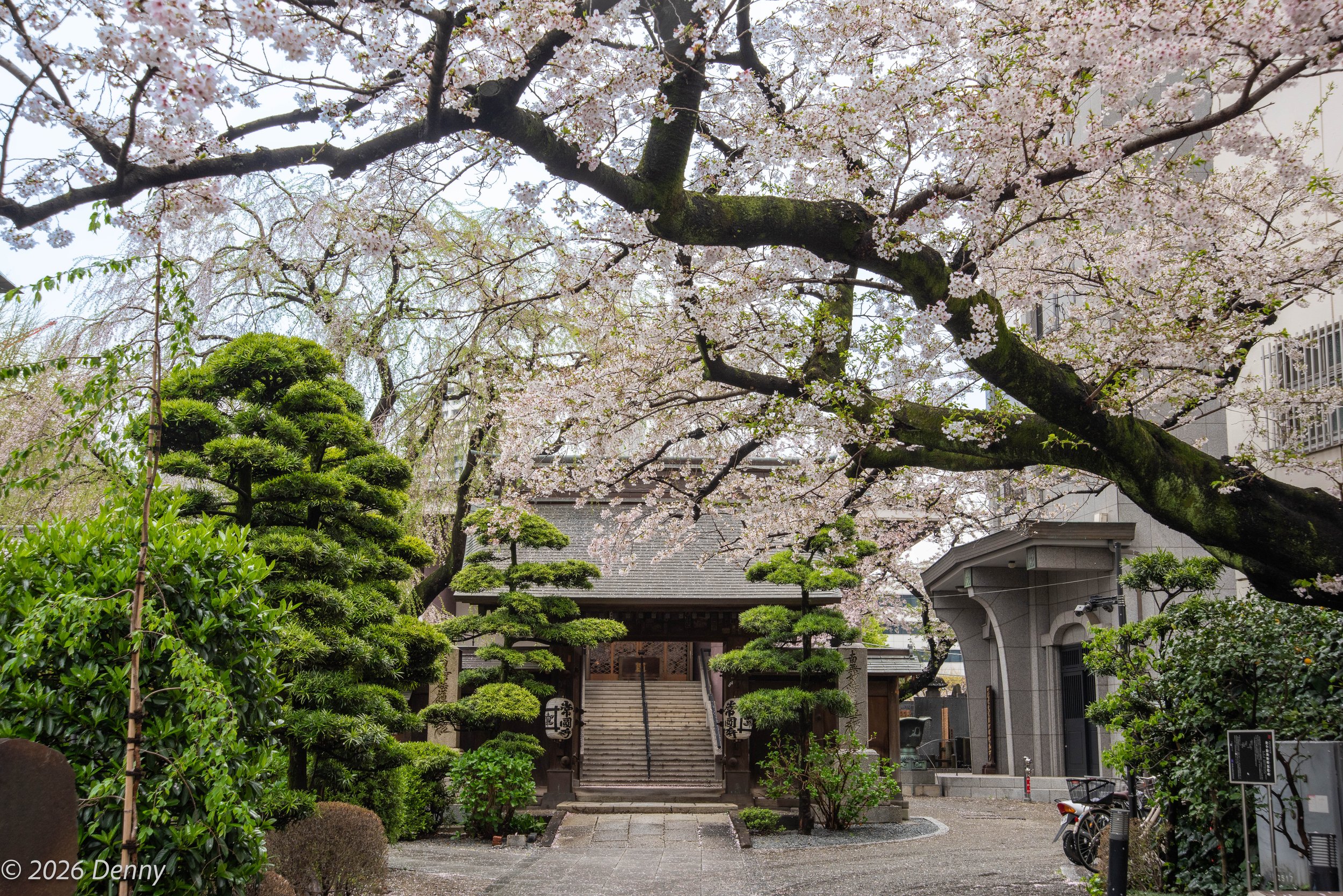 Temple, Shinjuku, Tokyo, Japan