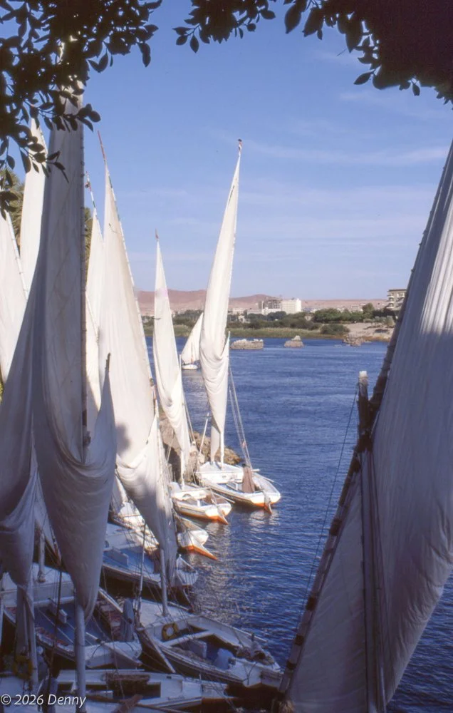 Feluccas, Aswan