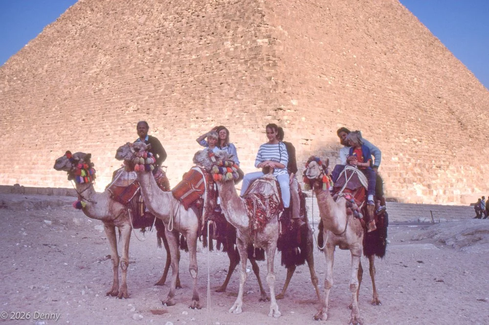 Camel Trek, Giza