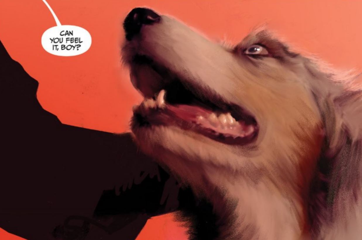 Whose a good accomplice to murder?