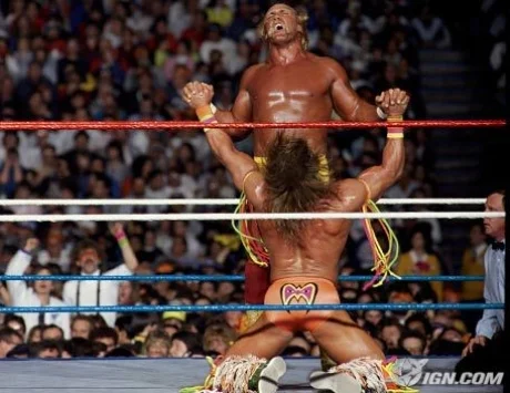 warrior-hogan.jpg