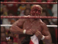 Hogan 3.gif