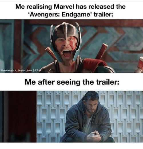 me-realising-marvel-has-released-the-avengers-endgame-trailer-avengers-38456074.png