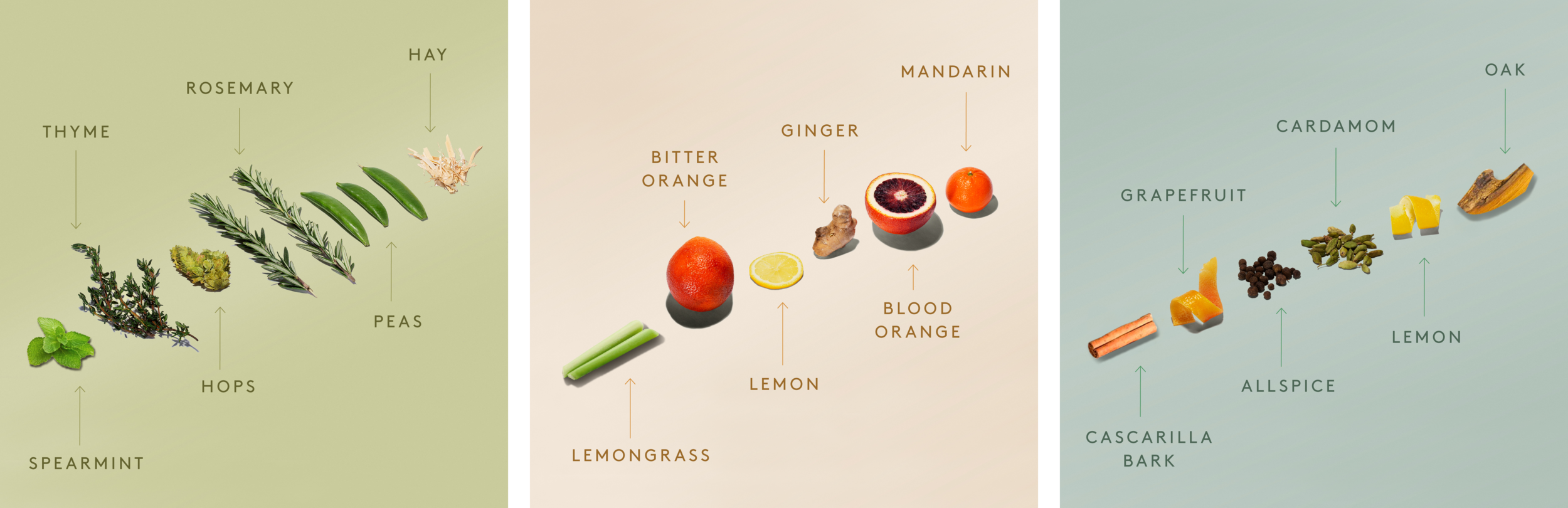 Ingredients_Education_IG.png
