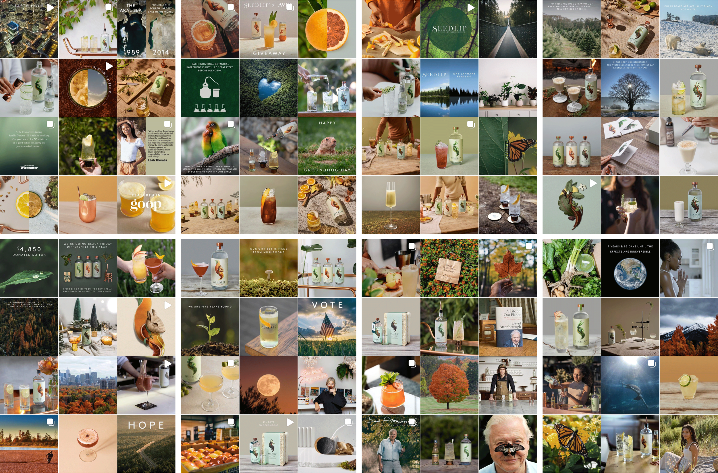 social-grid.png