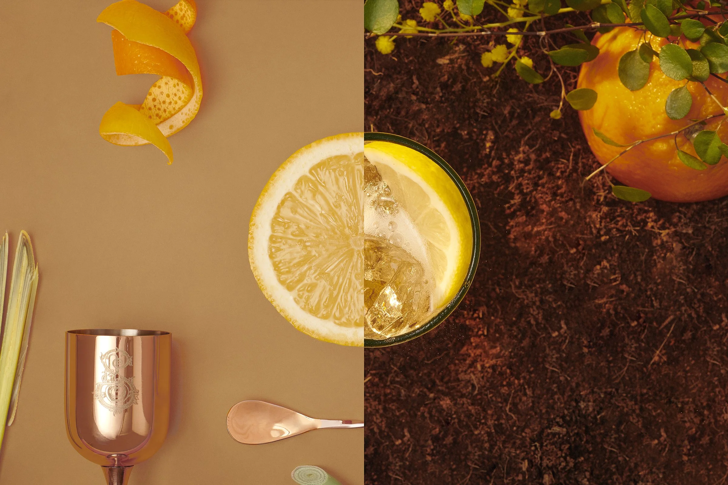 sh02_Grove_GingerAle_US_LemonHalf-054 copy.jpg