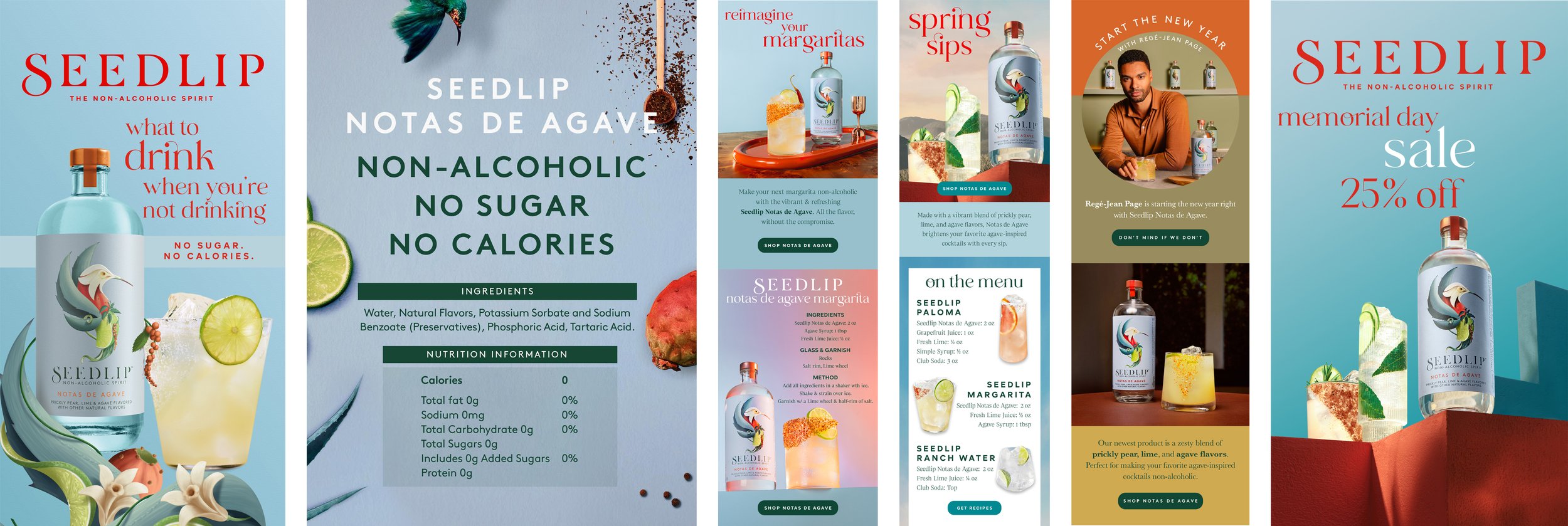 agave-layout-3.jpg