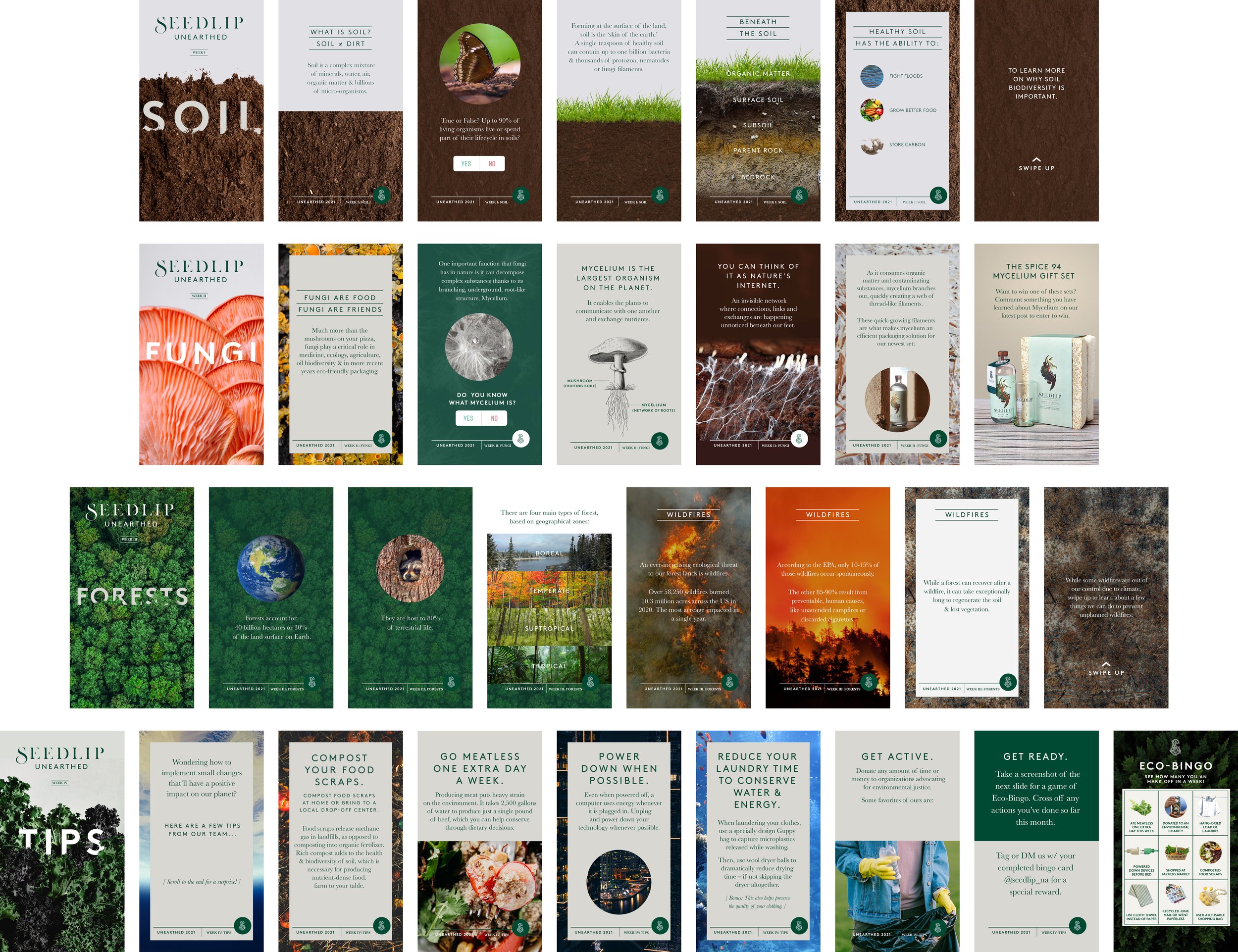 EarthMonth_spread.jpg
