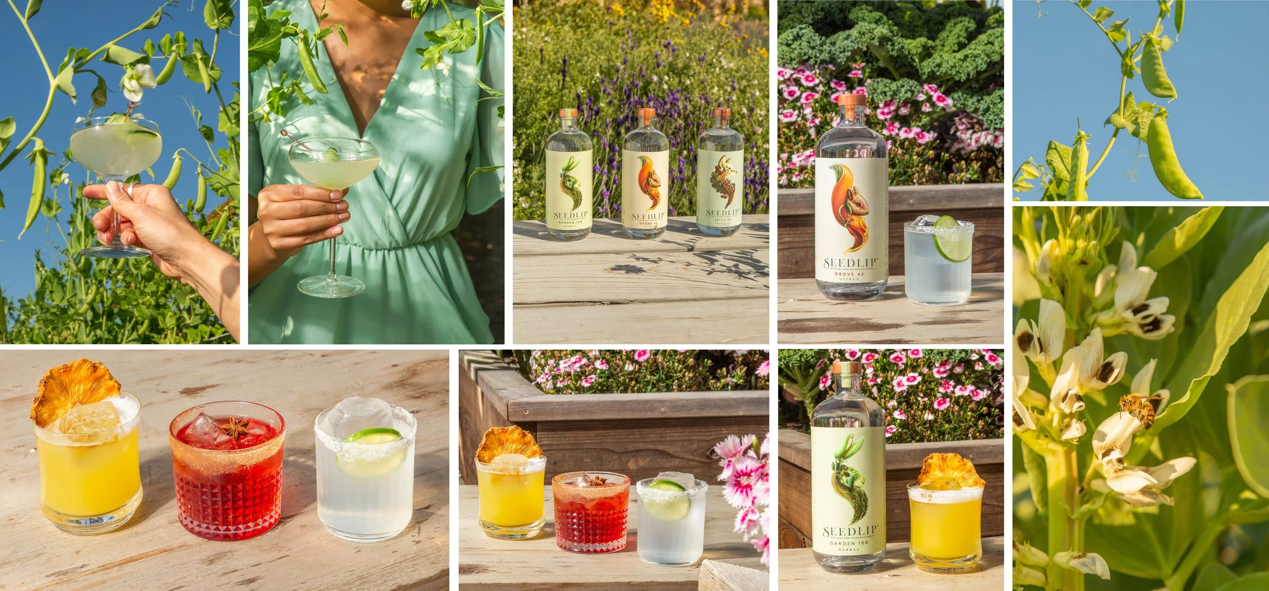 spring-spread1.jpg