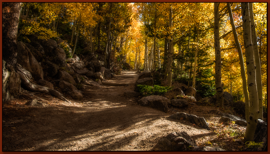 "Golden Trail" ©2016 Jon S. Berndt Above Bear Lake in Rocky Mountain National Park, this trail leads towards Bierstadt Lake a couple of miles away. The many yellow leaves acted as a filter and gave the trail a magical, warm hue. To see a larger version and for purchase options, click here .