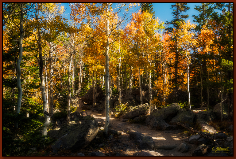"Above Bear Lake" ©2016 Jon S. Berndt This photograph was also made of the trail above Bear Lake. There were many deciduous trees in the area that looked really beautiful in the morning light.