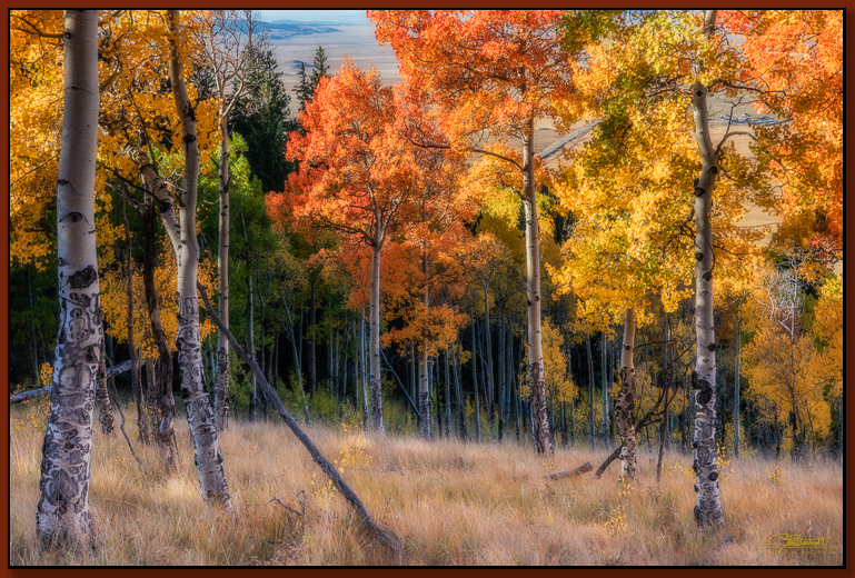 "Yellow and Gold Hillside" ©2016 Jon S. Berndt To see a larger version and for purchase options , click here .