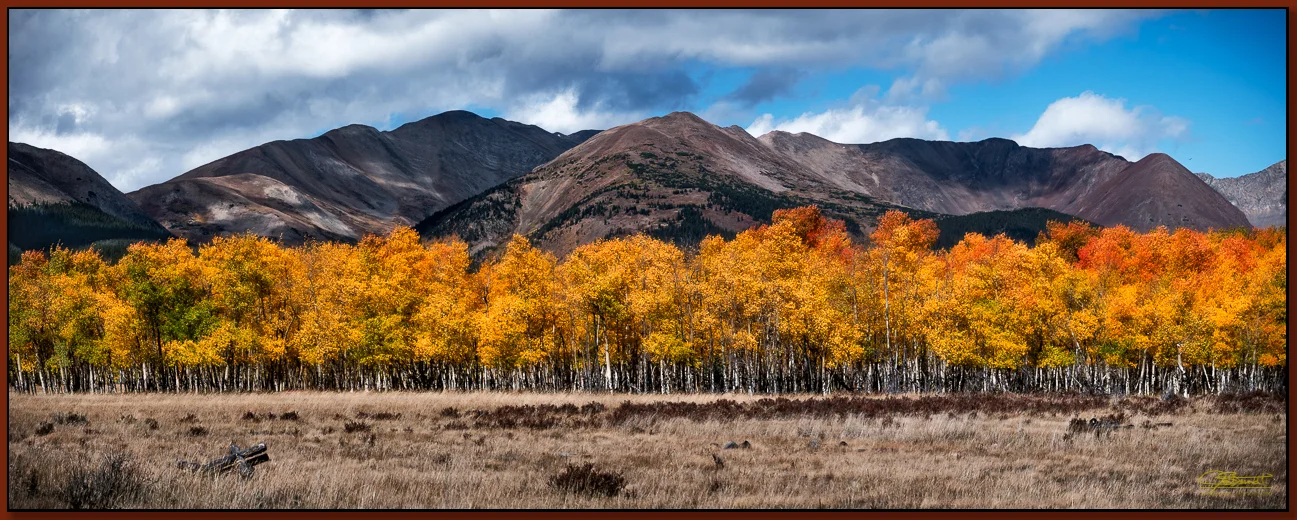 "Classic Colorado Aspens" ©2016 Jon S. Berndt