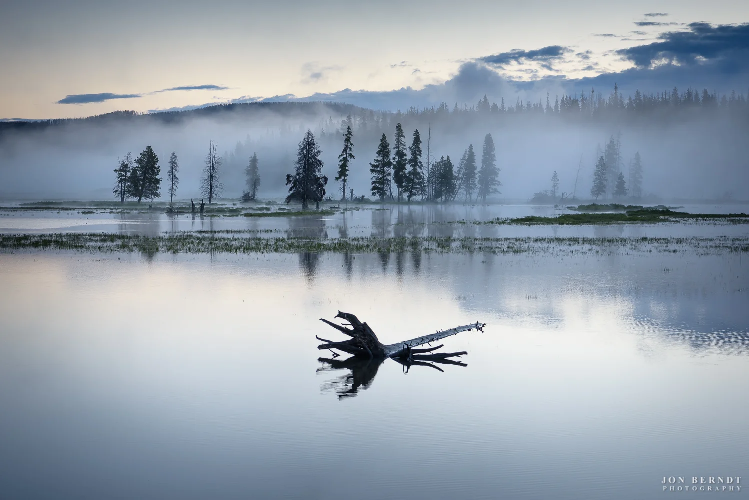I spent a week in Yellowstone National Park camped at the fishing bridge campsite this summer. I would leave before sunrise headed out to see what I could find in the morning. Usually I'd head towards Hayden Valley, but on this morning I headed the other way and found this tranquil scene at Pelican Creek, just north of Lake Yellowstone. Click here for information on ordering a print of this photograph.